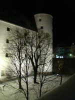 dsc04207.jpg