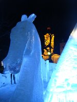 dsc04212.jpg