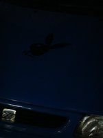 dsc04219.jpg