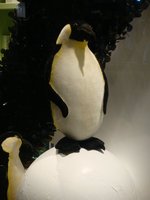 dsc04225.jpg