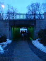 dsc04260.jpg