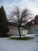 dsc04363.jpg