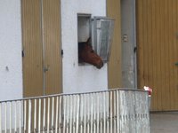 dsc04379.jpg