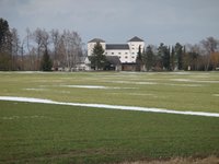 dsc04385.jpg