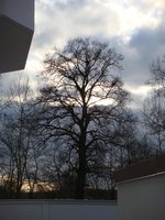 dsc04404.jpg