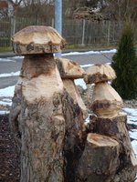 dsc04406.jpg