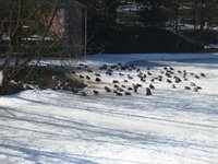 dsc04477.jpg