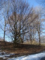 dsc04478.jpg