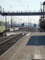 dsc04615.jpg