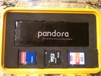 panda1.jpg