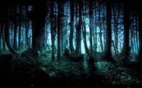 15eerie15.jpg
