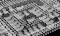 pandora-xray-2-invert.jpeg