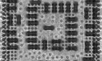 pandora-xray-4.jpeg