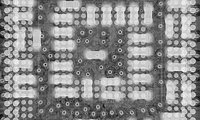 pandora-xray-4-invert.jpeg