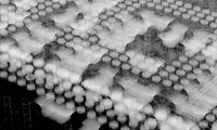 pandora-xray-5-invert.jpeg