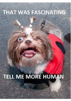 3419769__9c856e48f57a5620f81bf61d8e3561a3.jpg