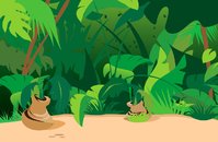 jungle.jpg