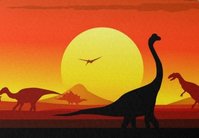 sunset.jpg