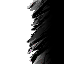 0011-0011.png