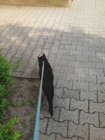 uploadfromtaptalk1370705620471.jpg