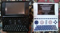 DSC05733.JPG