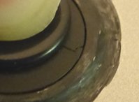 P1000714-crop.JPG