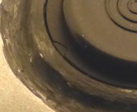 P1000712-crop.JPG