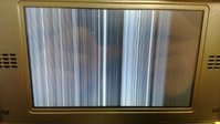 13110051.jpg