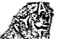 Pyra Logo.jpg