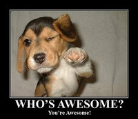 awesomedog.jpg