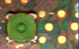 nubed.png