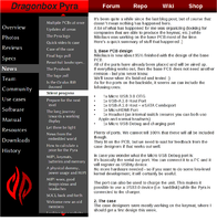pyrawebsiteidea2.png