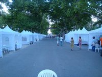 DSC06394.JPG