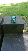 rsz_dsc_0011.jpg