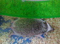 2011-10-23-09h53m29.jpg