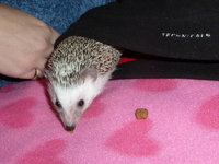 2011-10-28-19h45m36.jpg