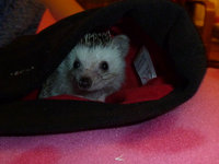 2011-10-28-19h48m14.jpg
