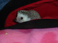 2011-10-28-19h48m32.jpg