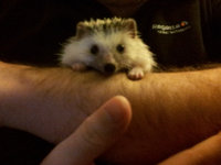 2013-03-08-17h10m42.jpg