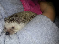 2013-06-07-21h46m15.jpg