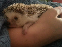 2013-09-22-13h31m05.jpg