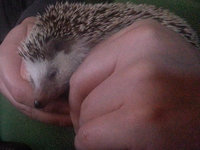 2013-12-29-15h05m48.jpg