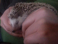 2013-12-29-15h05m52.jpg