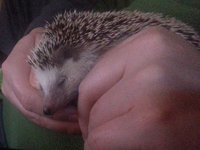 2013-12-29-15h05m58.jpg