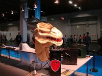 re_DSC06503.JPG