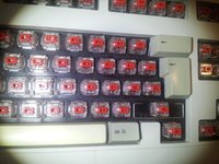 IMG_20150418_011034.jpg