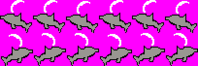 moondolphin.png