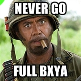 bxya2.jpeg
