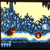 image.gif
