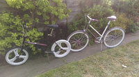 IMAG0066.jpg